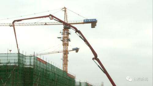 关注丨日照新发地 打造全国农产品批发市场标杆